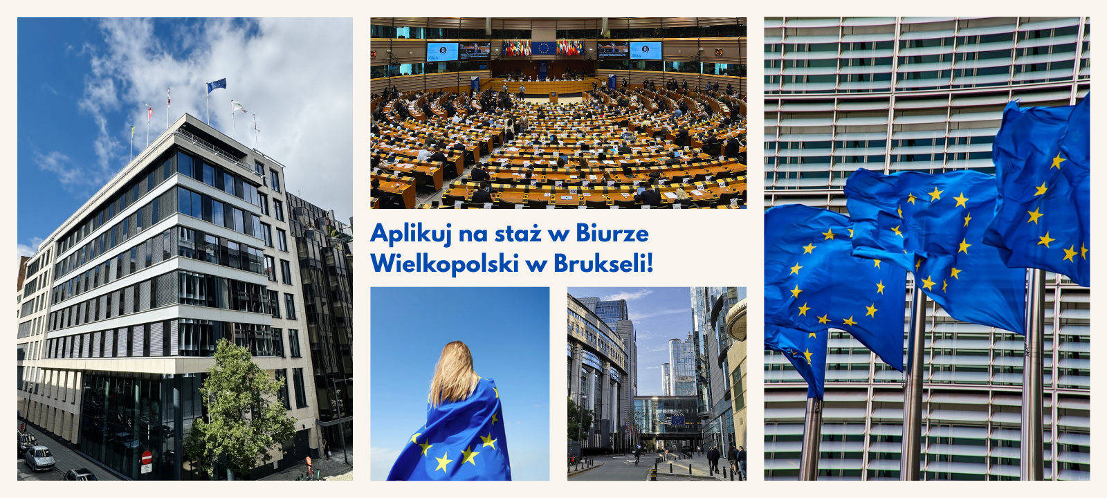 "Infografika zakładka staże"