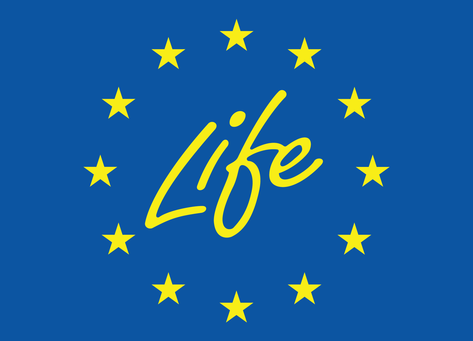life 1 1